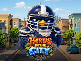 Birds in The City